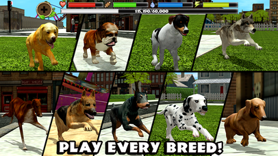 Stray Dog Simulator - Screenshot 7