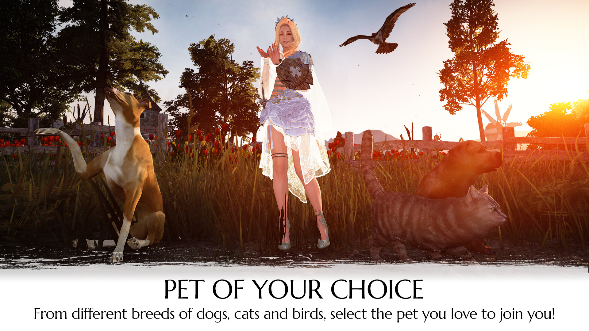 Black Desert Online: Explorer's Package - Screenshot 2