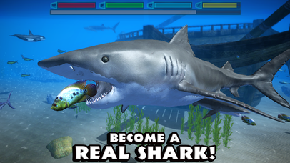 Ultimate Shark Simulator - Screenshot 9