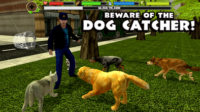 Stray Dog Simulator - Screenshot 5