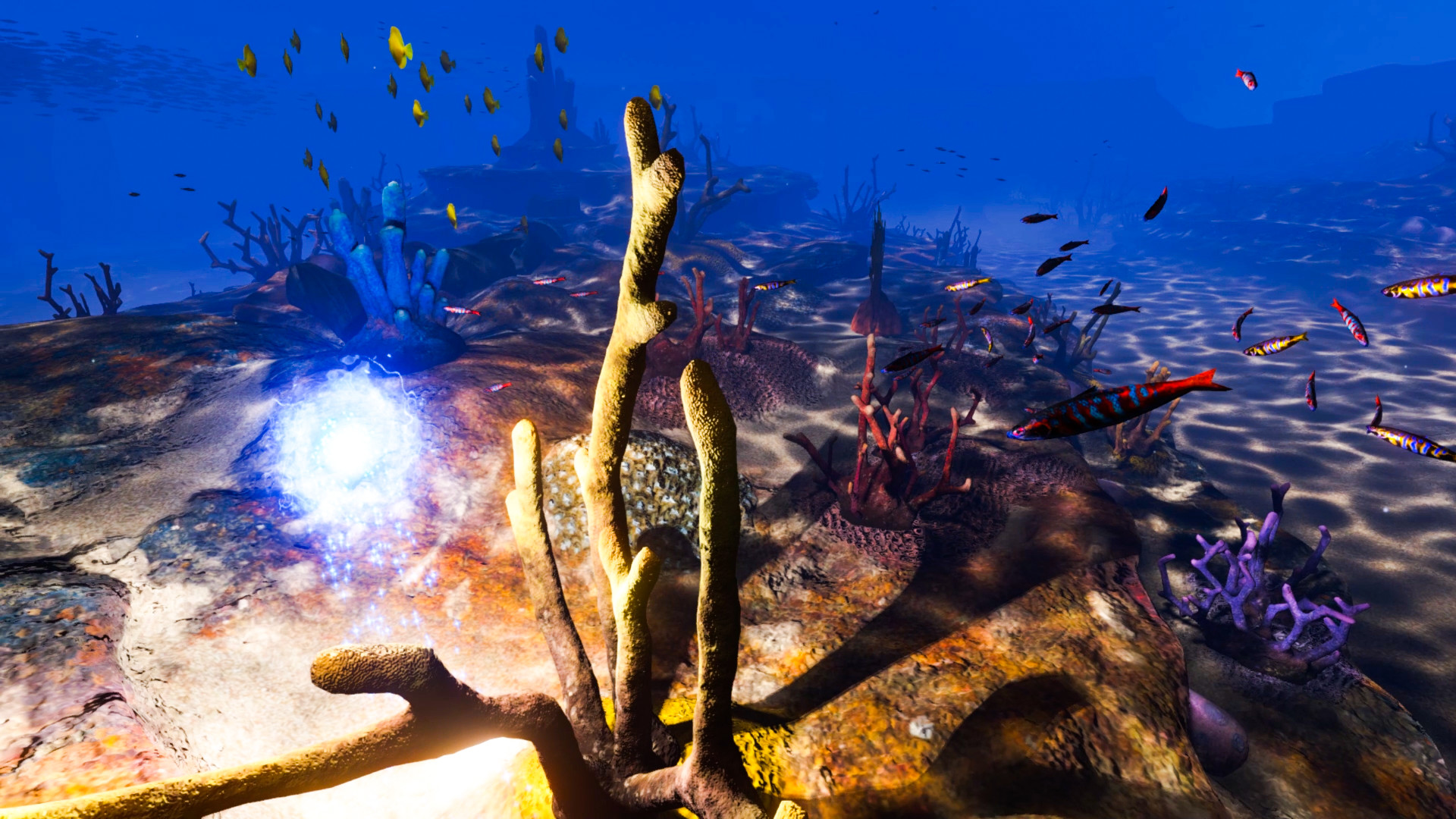 Essence of Illumination: The Beginning - Screenshot 1