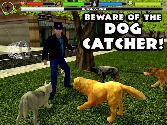 Stray Dog Simulator - Screenshot 2