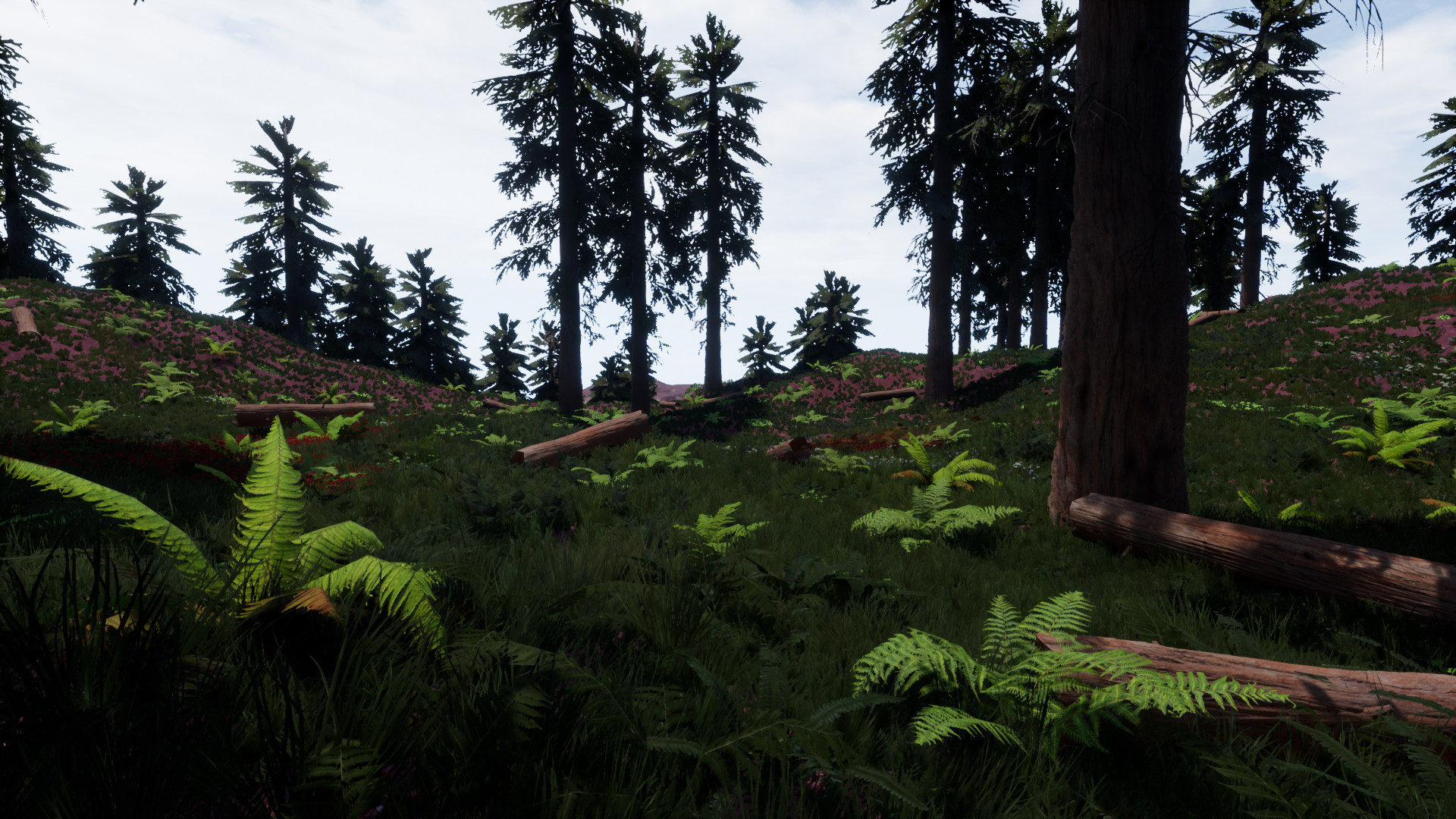 Veritex - Screenshot 2