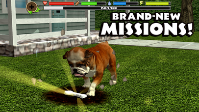 Stray Dog Simulator - Screenshot 8