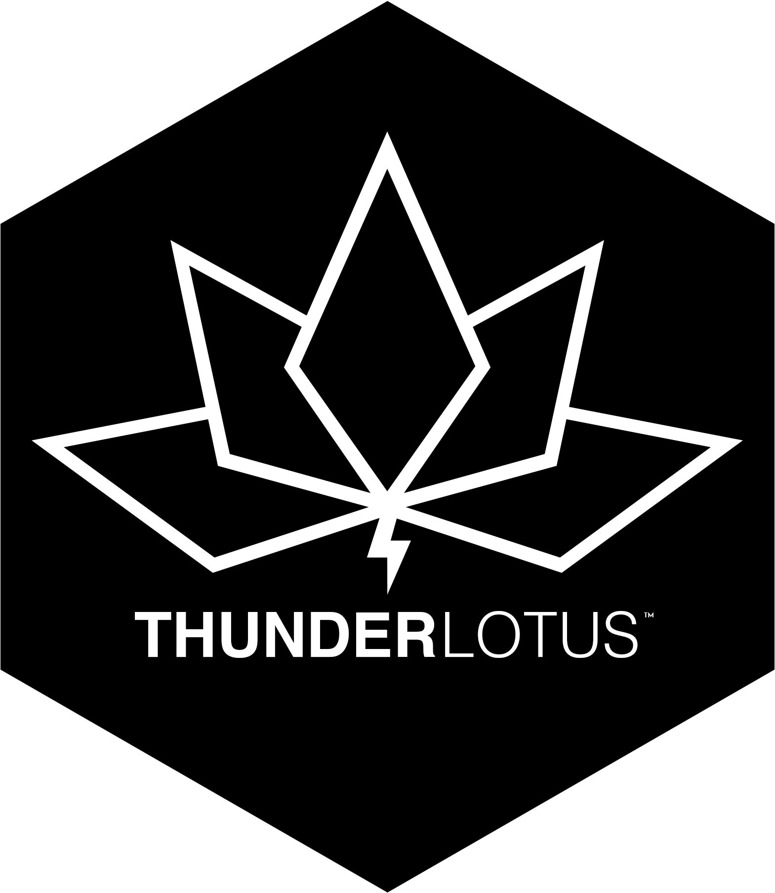 33 IMMORTALS  Thunder Lotus Games