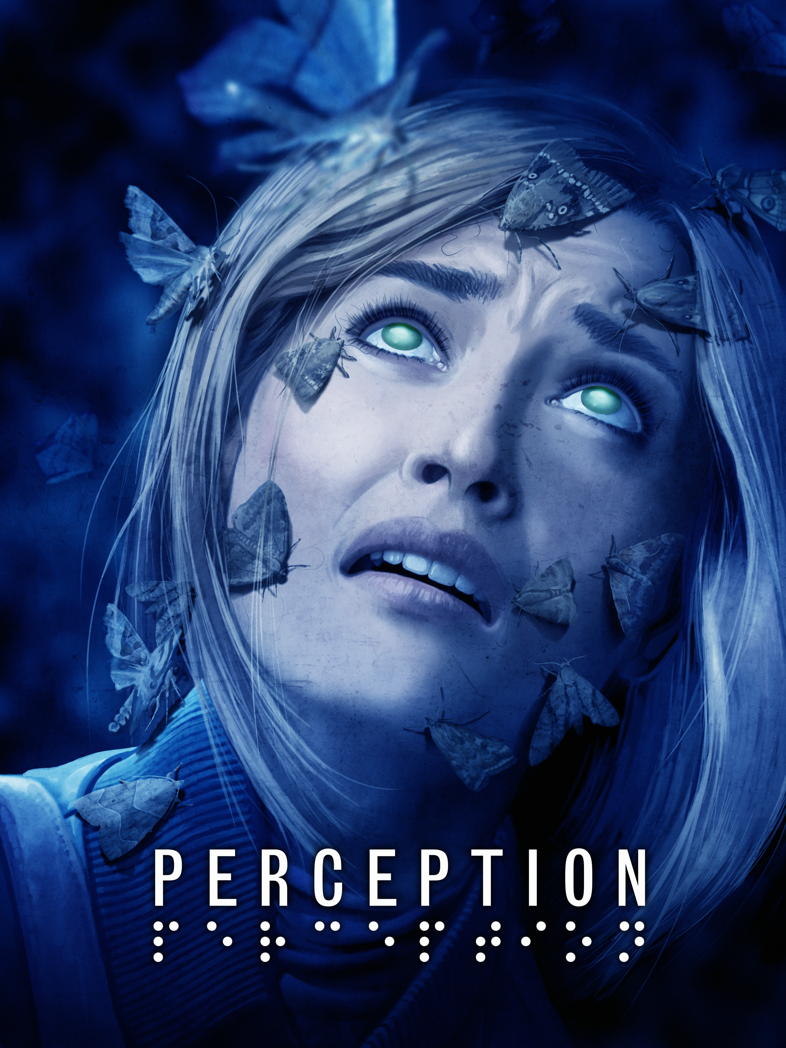 Game cover Perception