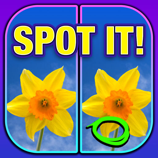 Game cover: What's the Difference? Spot It