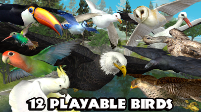 Ultimate Bird Simulator - Screenshot 2