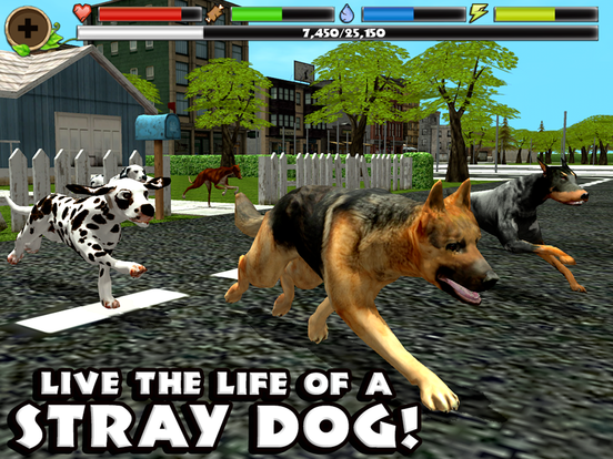 Stray Dog Simulator - Screenshot 10