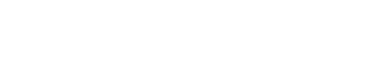 Baggy Cat Ltd logo