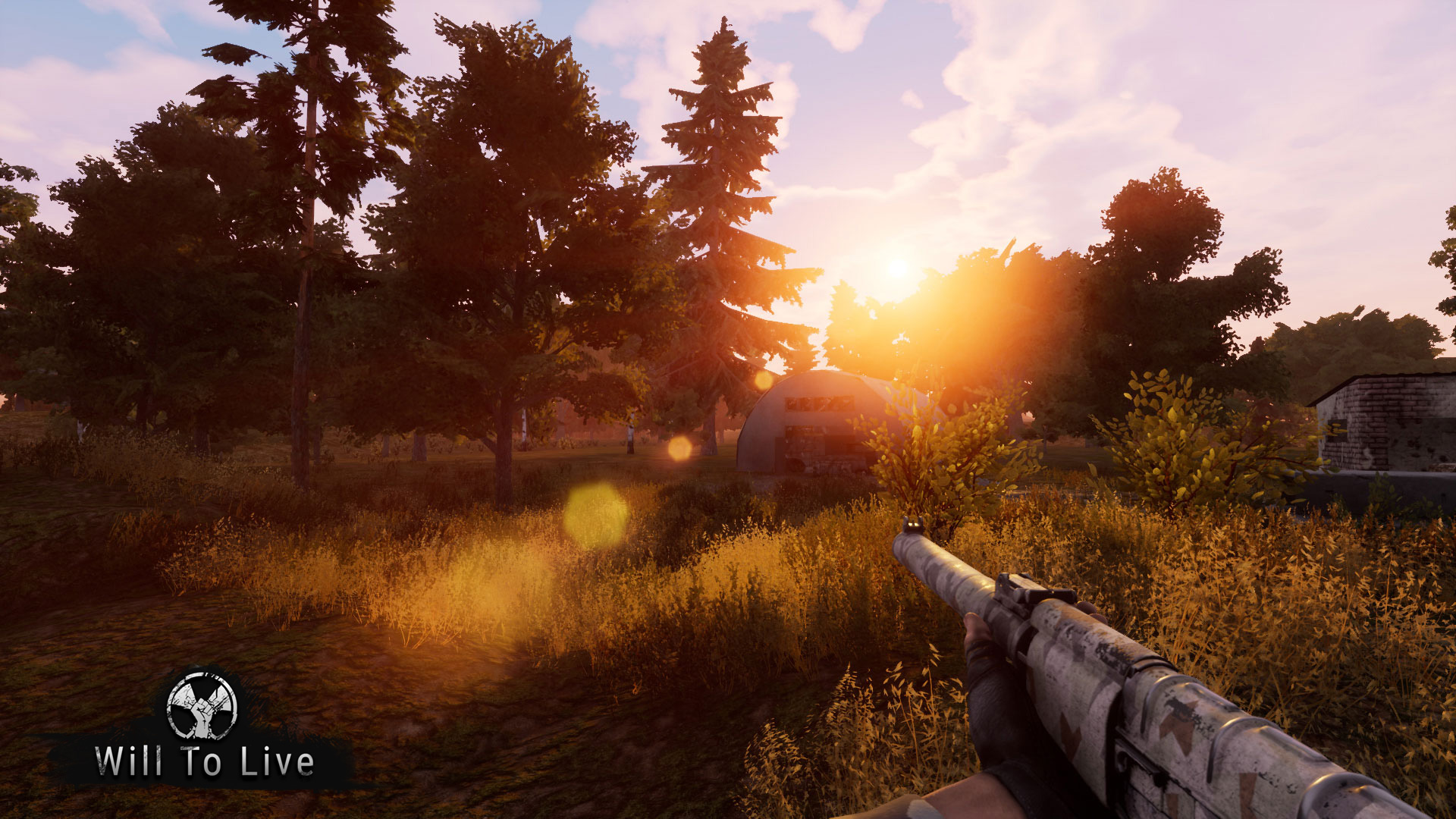 Will to Live Online - Screenshot 2