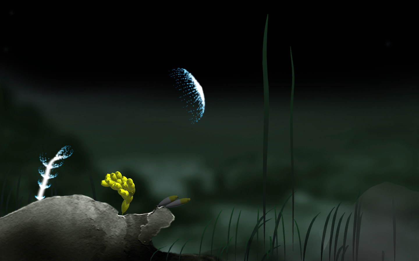 Jellyfish - Screenshot 4