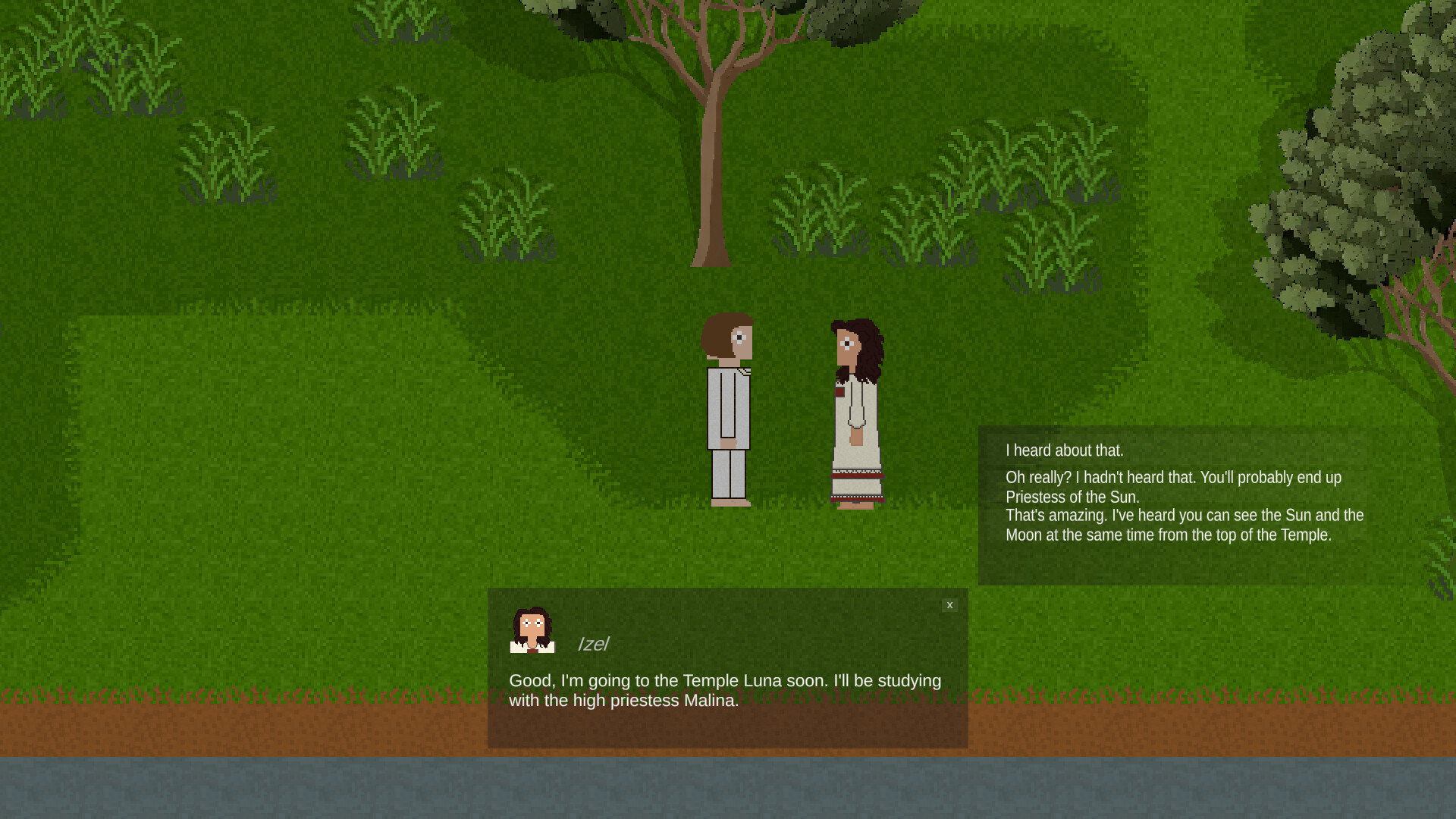 Nocturnal Sun - Screenshot 1