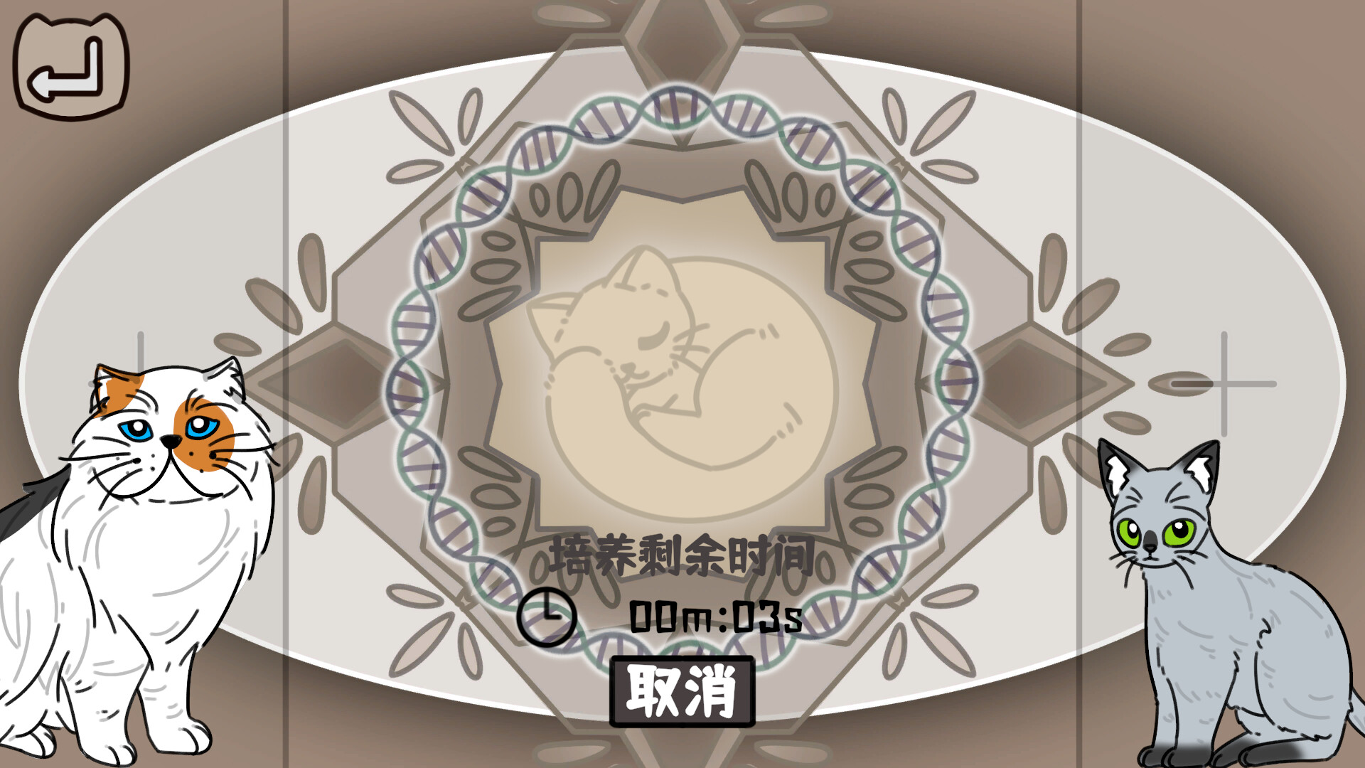 Cat Familiar Center - Screenshot 8