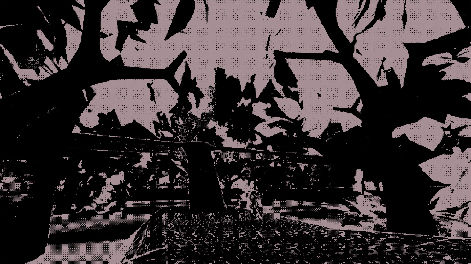 Salann - Screenshot 3