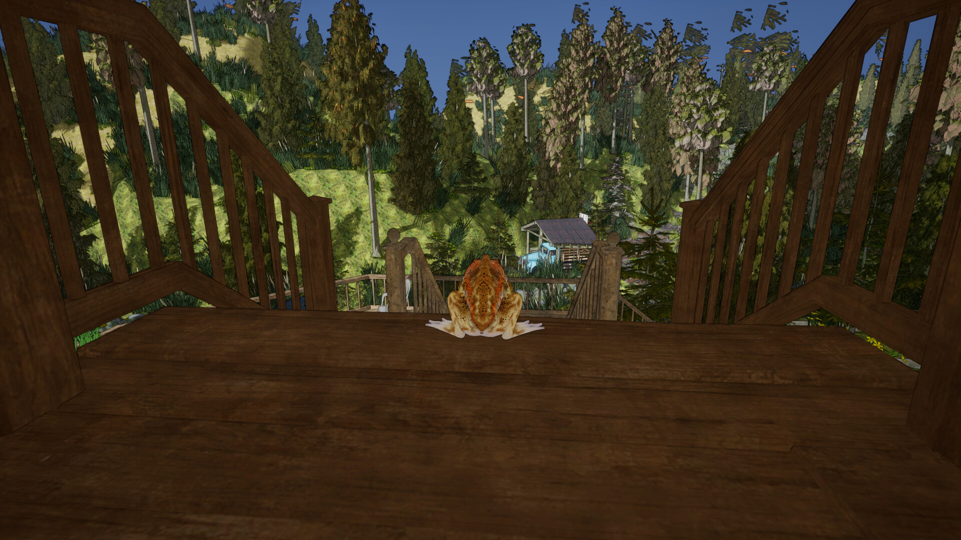 Crazy Toad - Screenshot 1