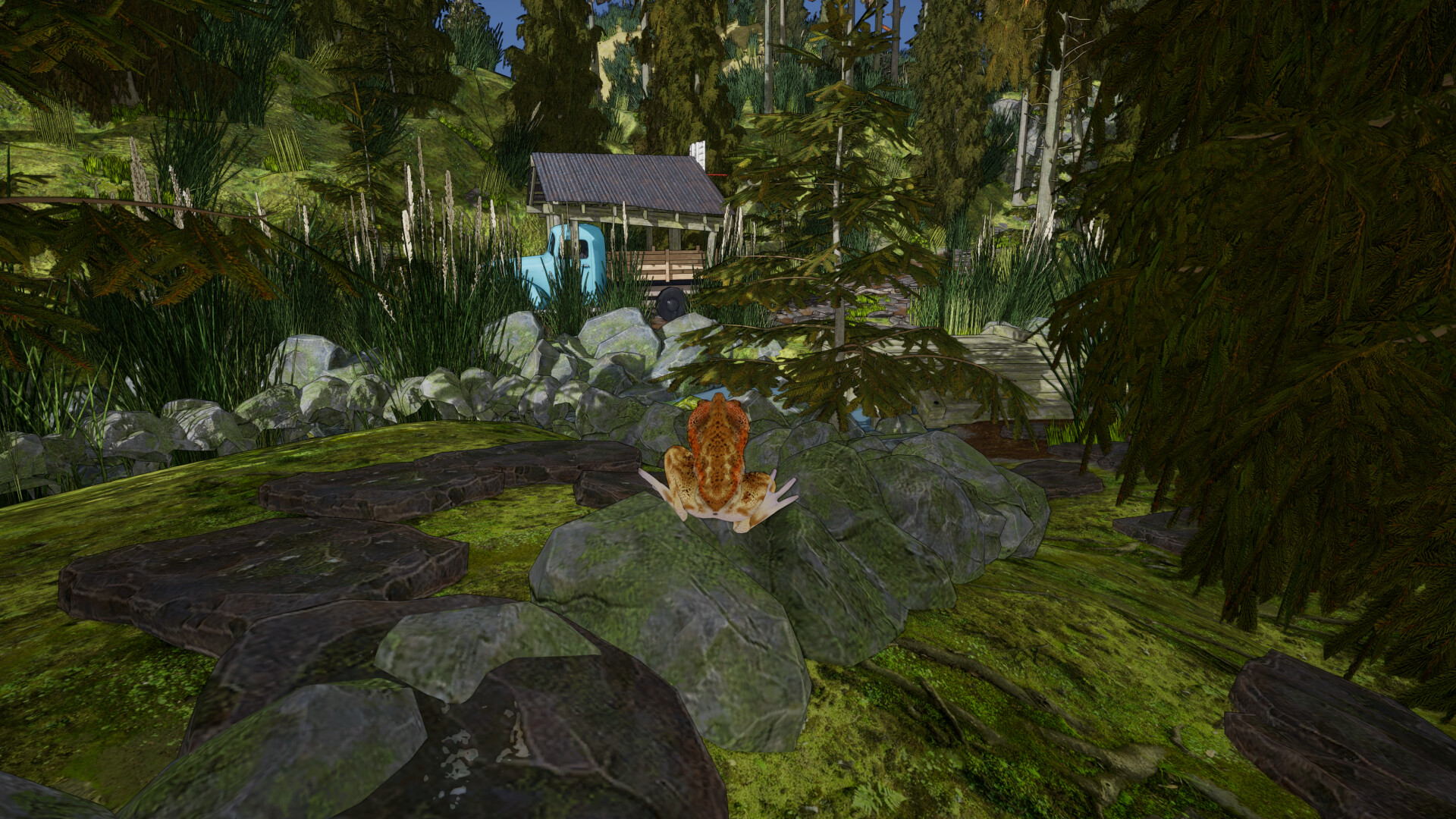 Crazy Toad - Screenshot 2