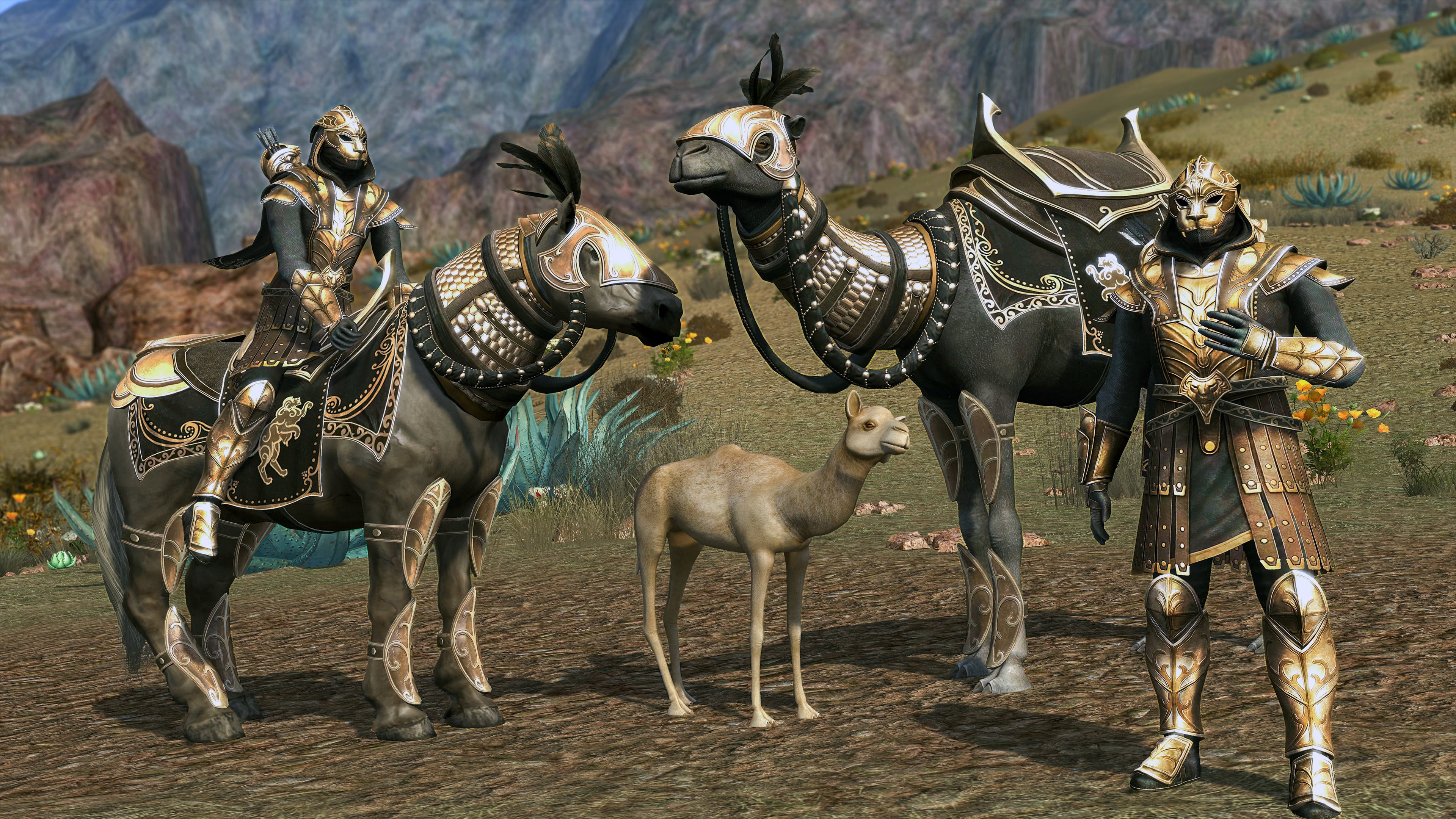 The Lord of the Rings Online: Kingdoms of Harad - Screenshot 6