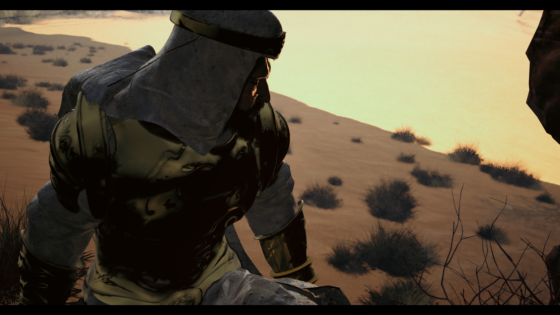 Nature Minds - Screenshot 4