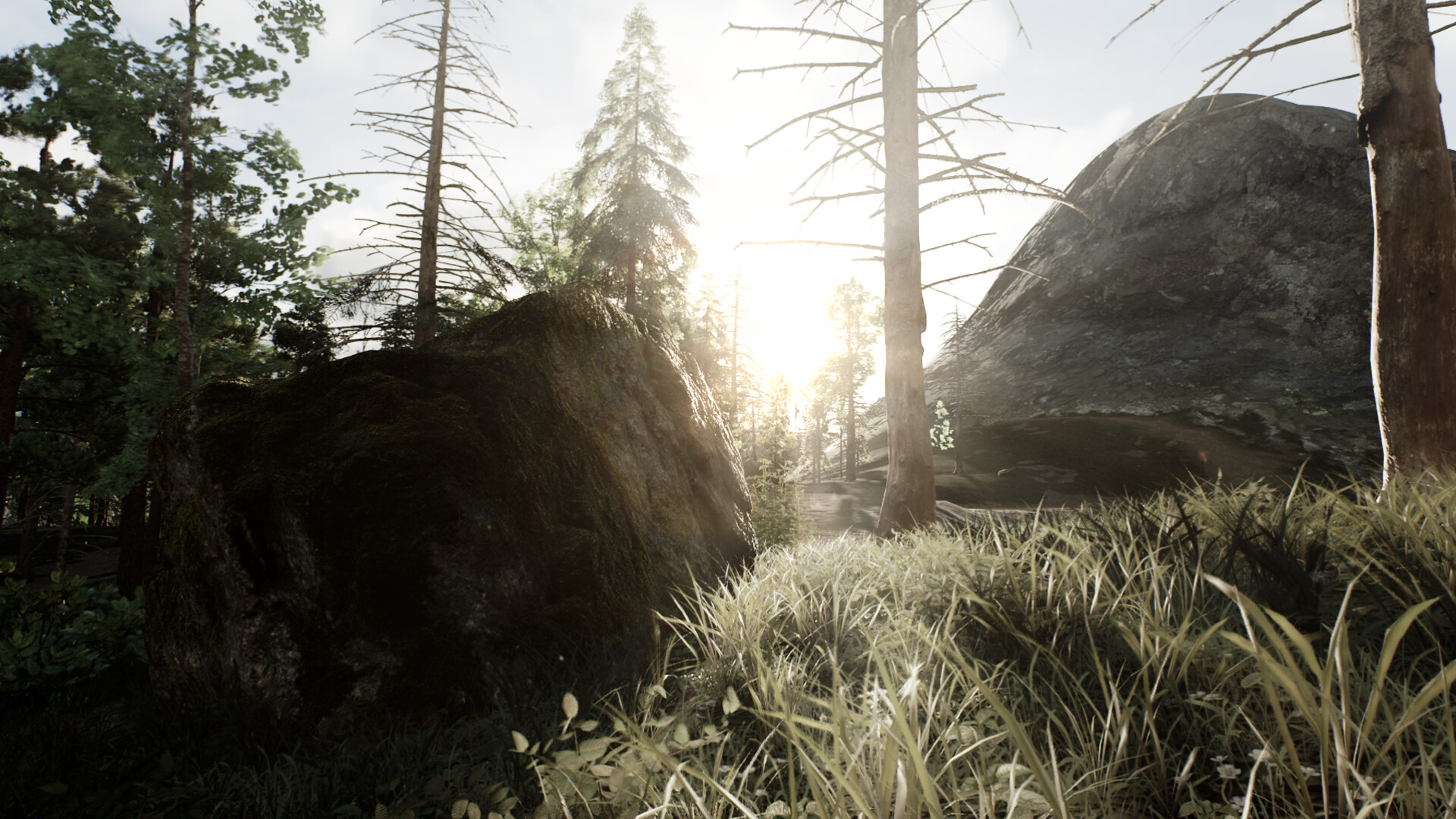 Skye - Screenshot 6