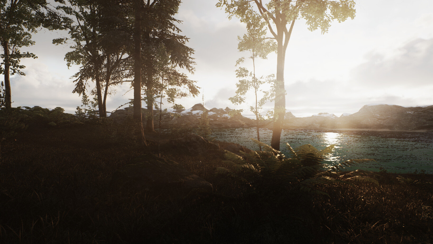 Skye - Screenshot 1