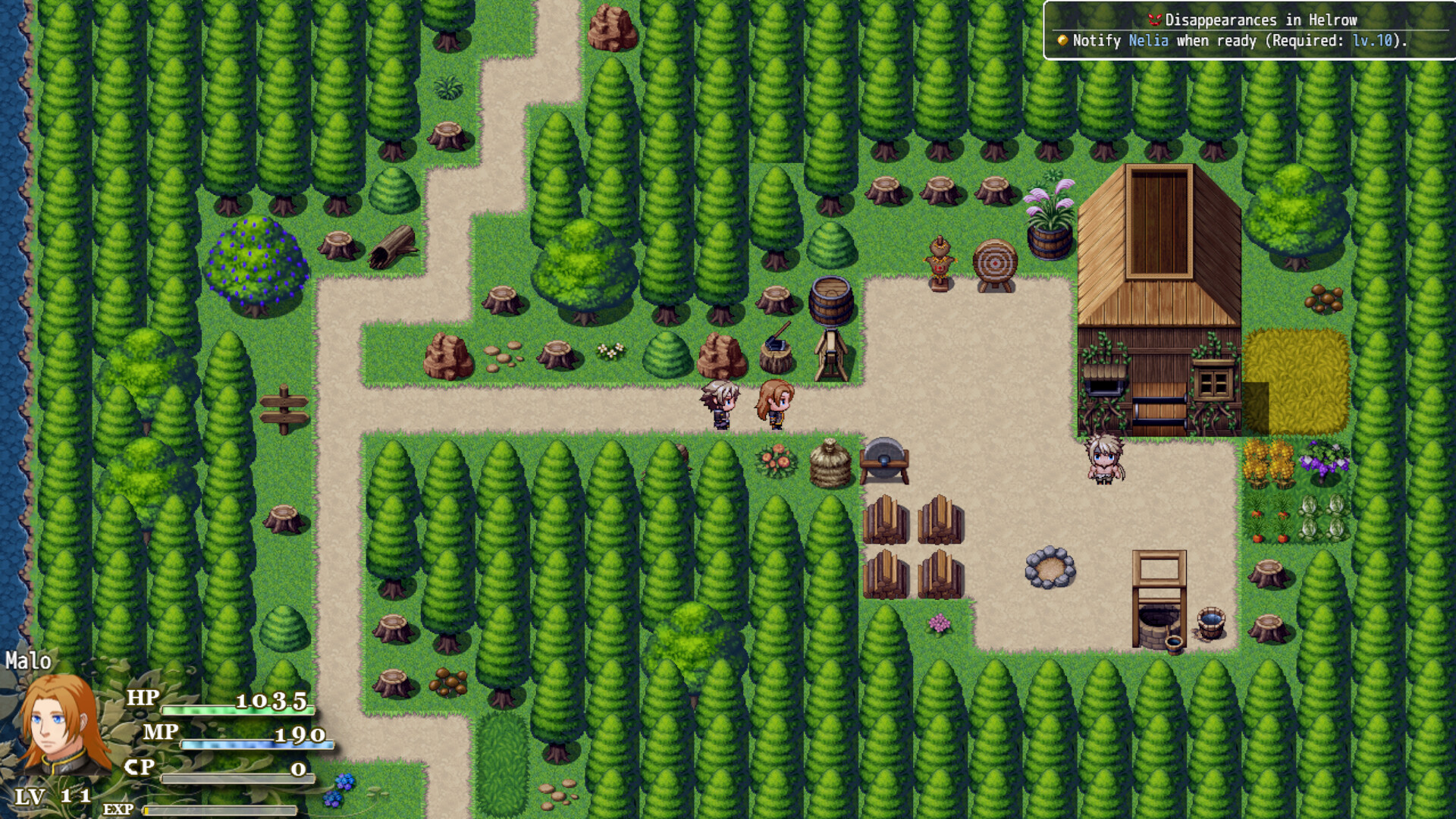 The Shaman Diary - Screenshot 2