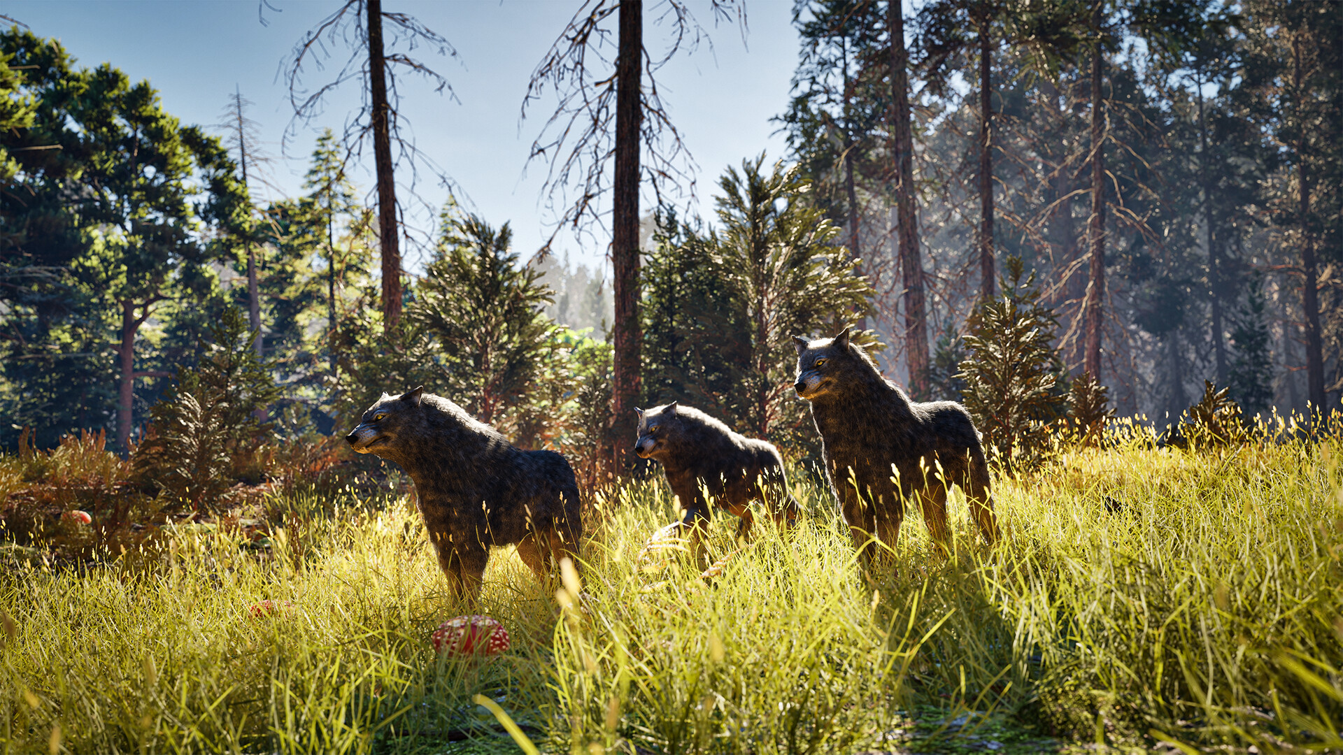 Epitome - Screenshot 2