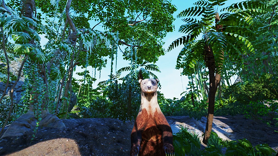 VR Animal Kids Rumble - Screenshot 6