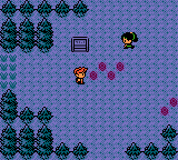 Pokémon Dark Energy - Screenshot 3