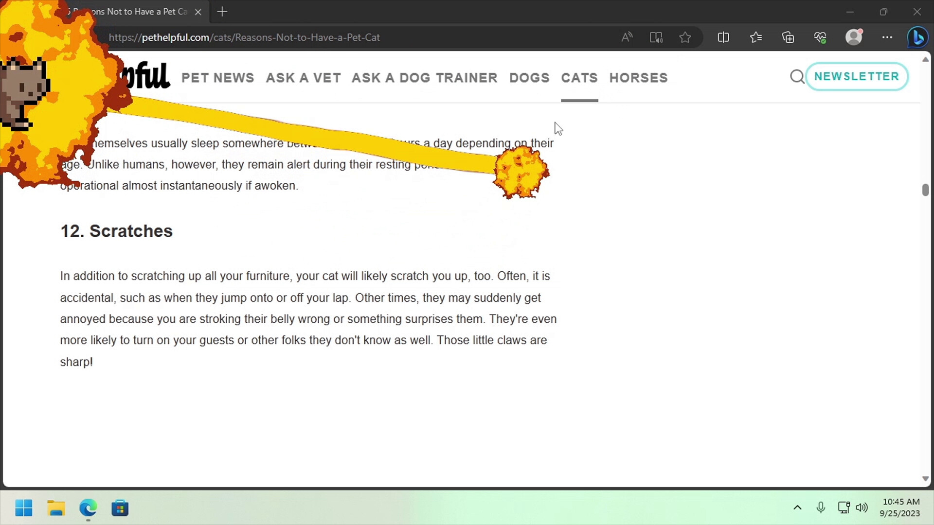 Desktop Pet Project - Screenshot 4