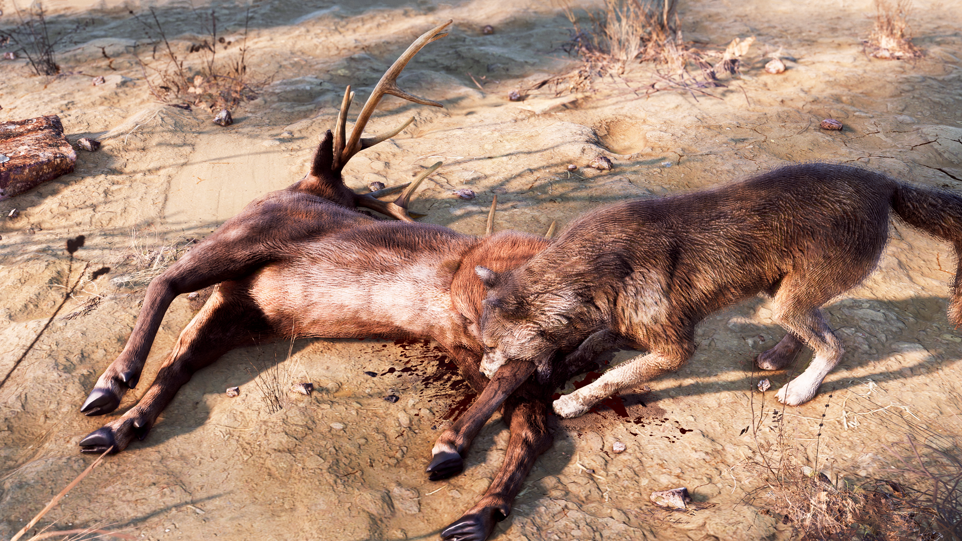 Dead Man's Country - Screenshot 6