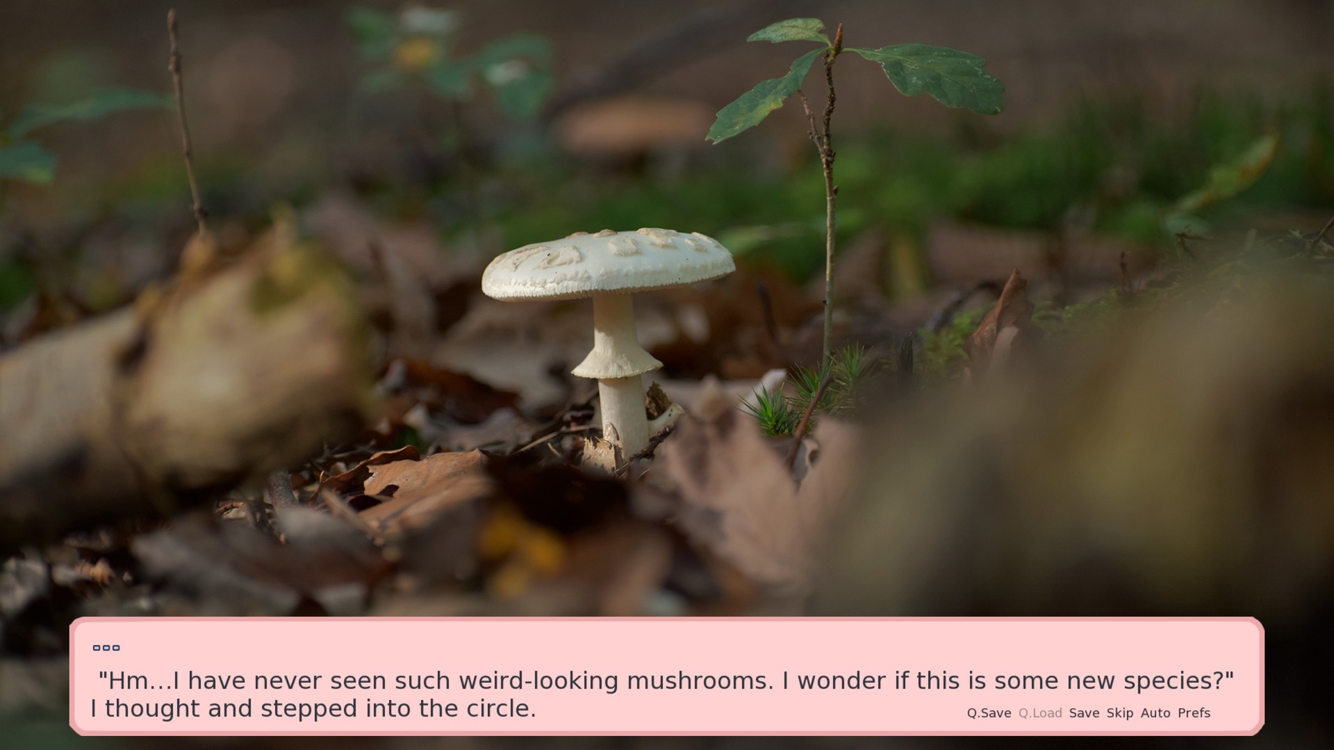 Gachimuchi Rebirth - Screenshot 3