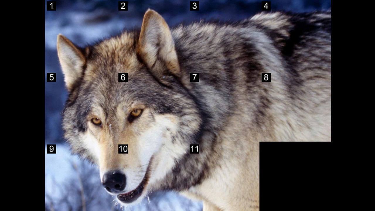 Happy picture - Screenshot 2