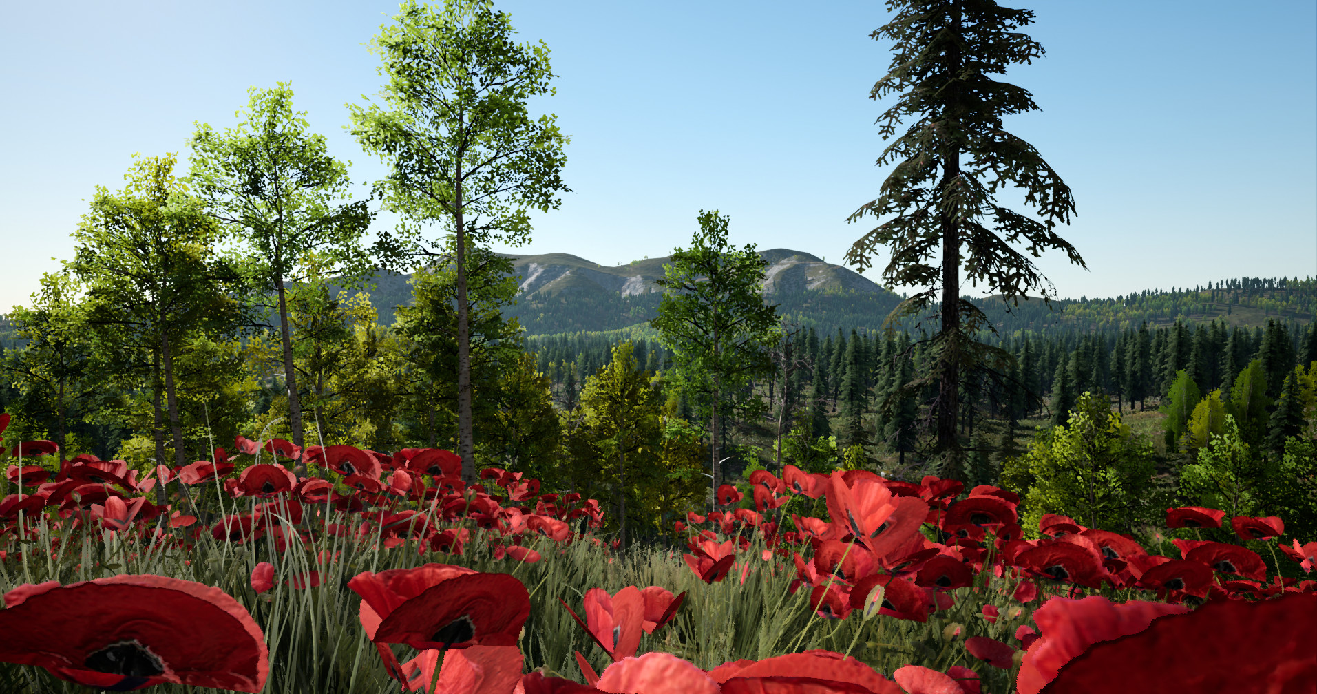 New Life - Screenshot 2