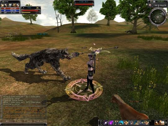 Last Chaos - Screenshot 1