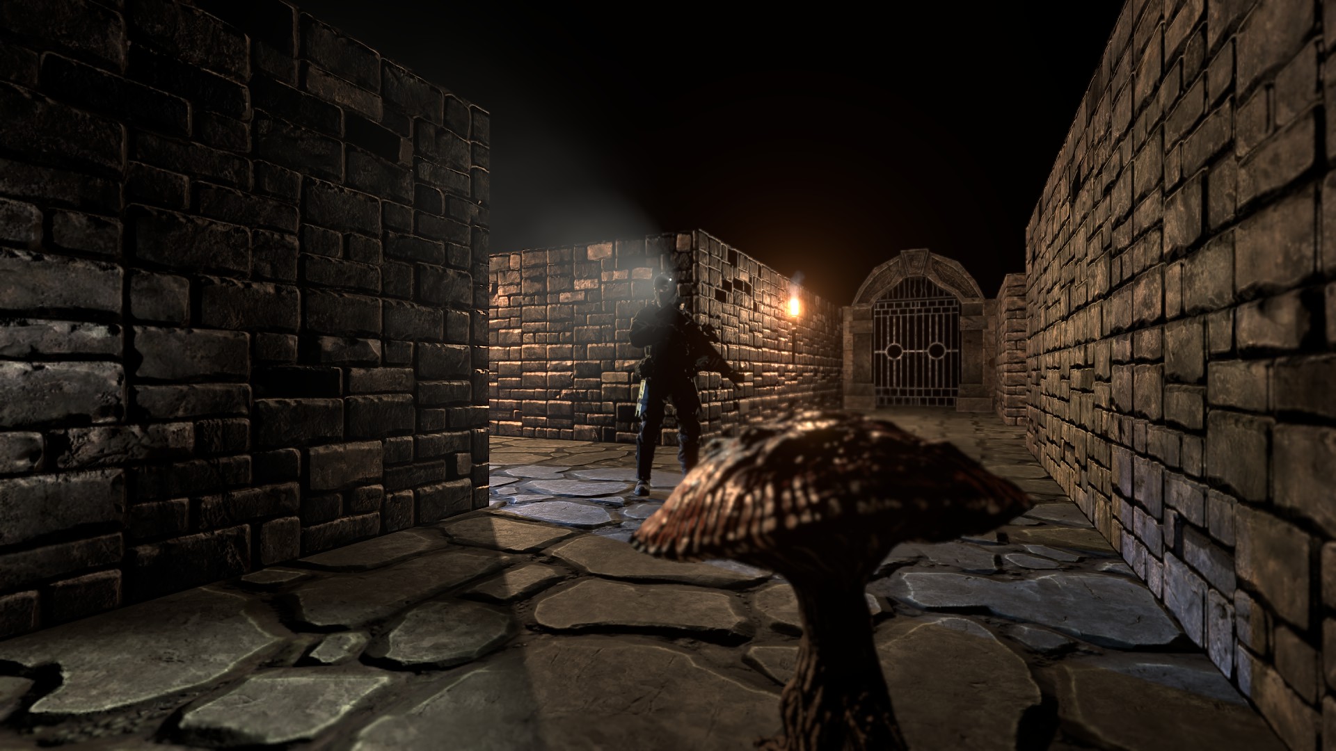 The Dungeon Paradox - Screenshot 8