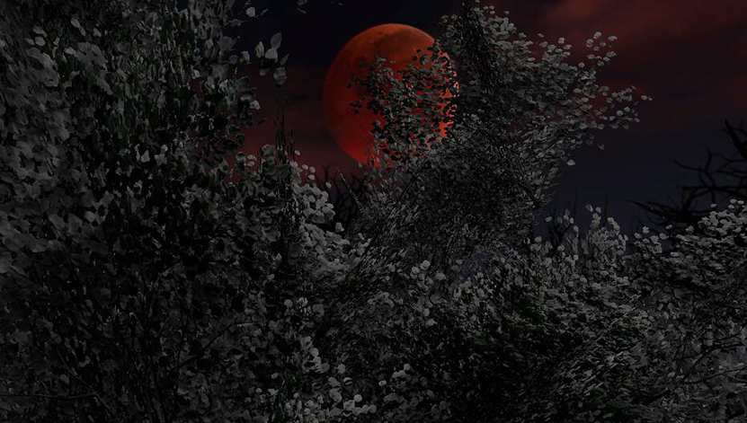 Sprites - Screenshot 3