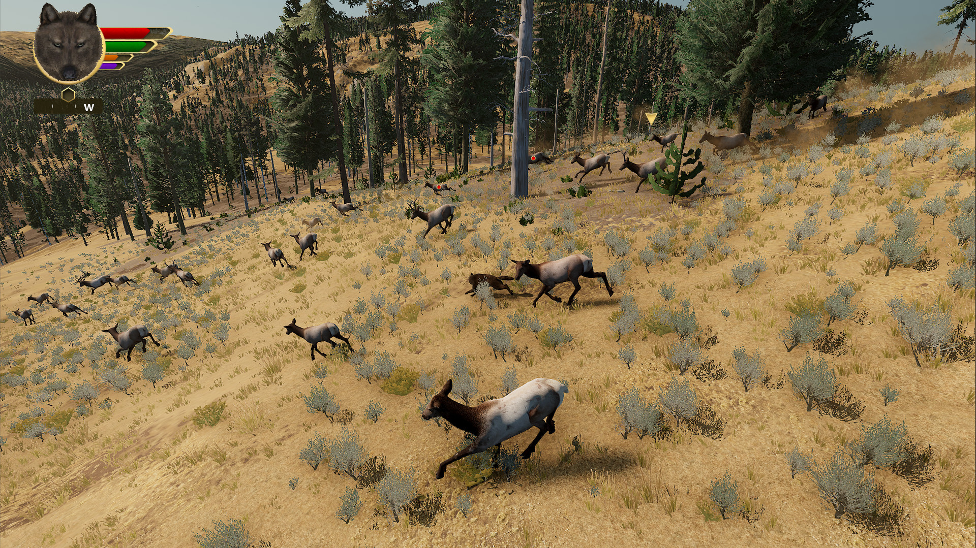 WolfQuest: Anniversary Edition - Screenshot 7