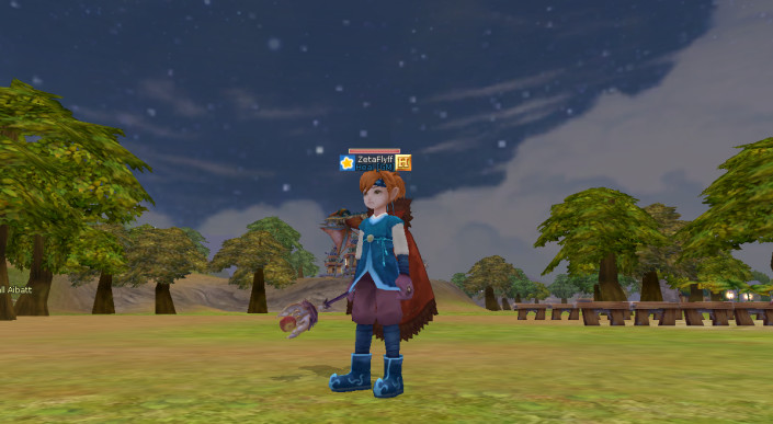 Zeta Flyff - Screenshot 1