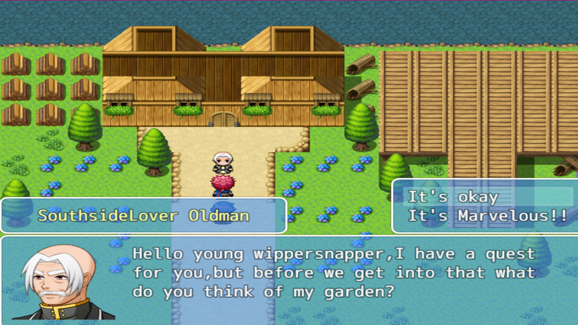 Champions - Screenshot 4