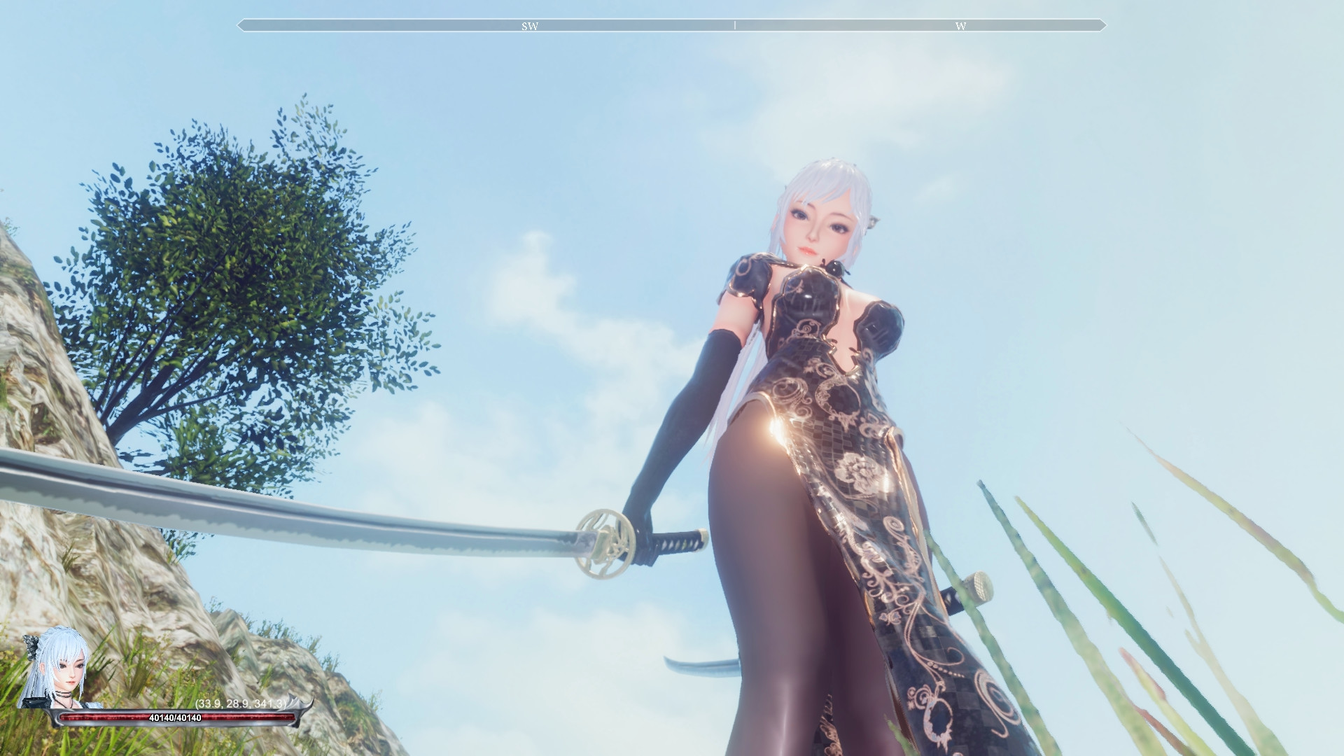 Lady and Blade - Screenshot 8