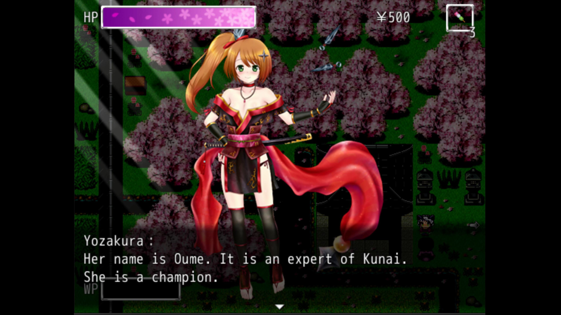 Kunoichi Ninja - Screenshot 1