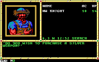 Neverwinter Nights - Screenshot 7