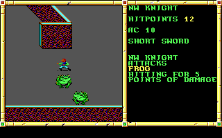 Neverwinter Nights - Screenshot 8