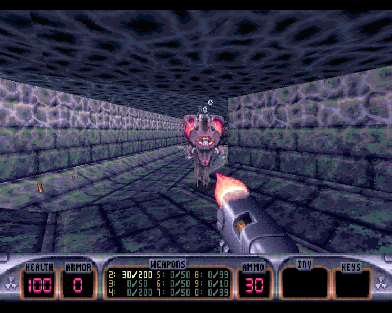 Duke Nukem 3D: Atomic Edition (1996)