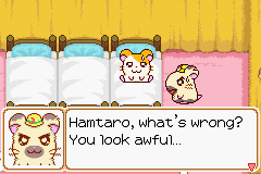 illustration de Hamtaro: Ham-Ham Heartbreak