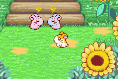 illustration de Hamtaro: Ham-Ham Heartbreak