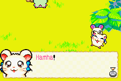 illustration de Hamtaro: Rainbow Rescue