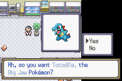 Pokémon Cyan - Screenshot 3
