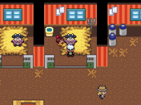 Pokémon Flora Sky - Screenshot 9